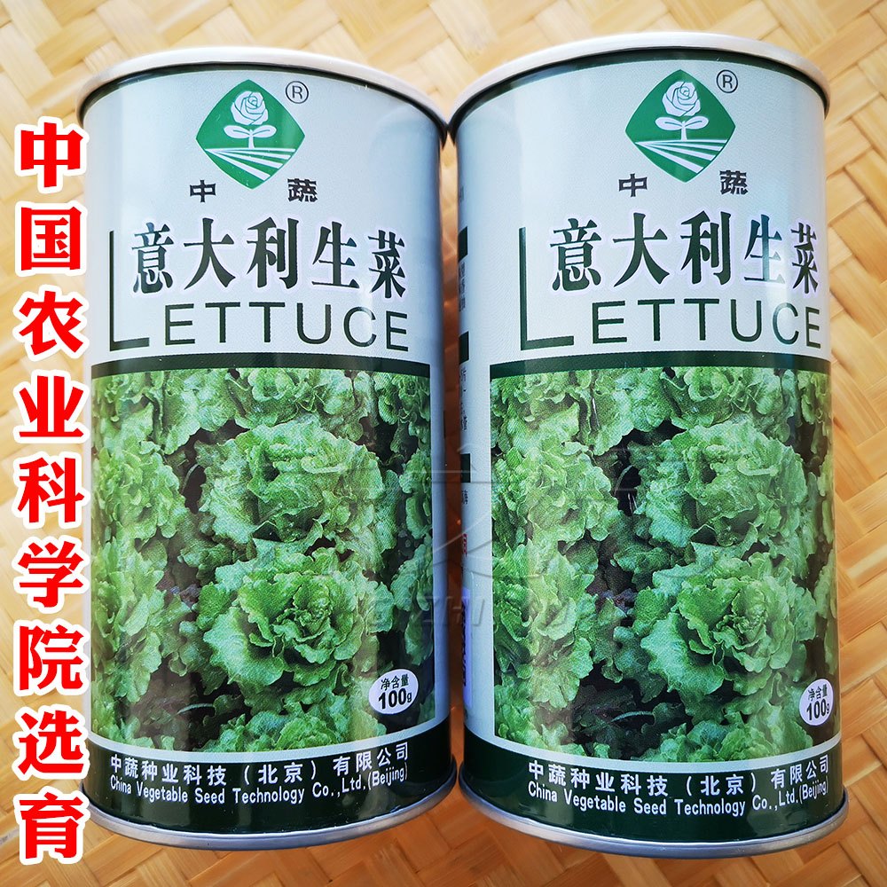 春秋生菜种子中国农科院蔬菜种孑种籽半结球耐寒耐抽苔较耐