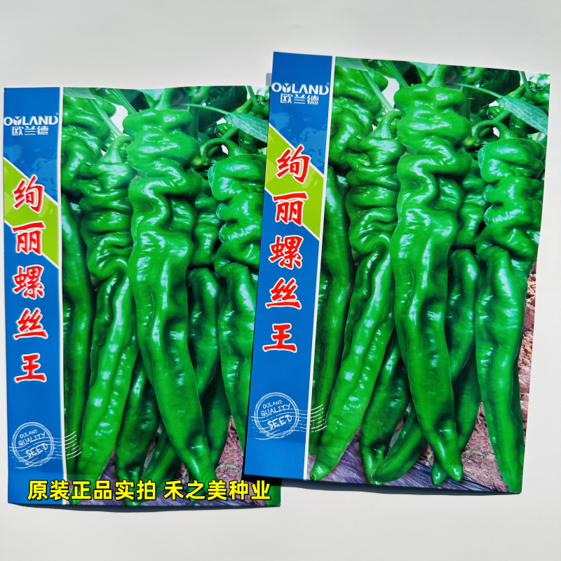 正宗螺丝椒种子籽欧兰德绚丽螺丝王辣椒种籽薄皮大果螺丝辣椒种孑
