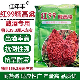 佳年丰红99糯高粱种子酿酒专用出酒率高抗倒性强耐盐碱红高粱种籽