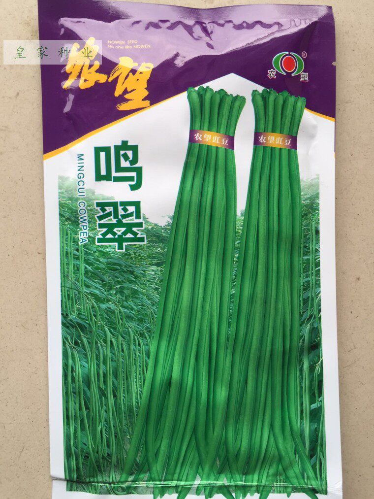 春秋播农望鸣翠长豇豆种子早优10000 挂满园 农标9号长豆角种子包