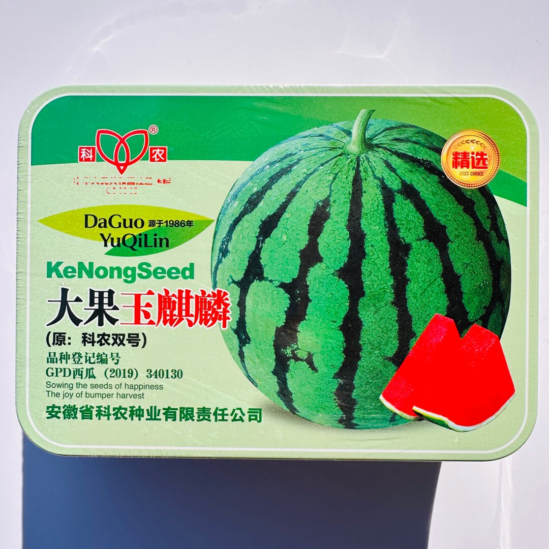 科农大果玉麒麟西瓜种子口感酥脆抗枯萎病杂交中晚熟红瓤西瓜种籽