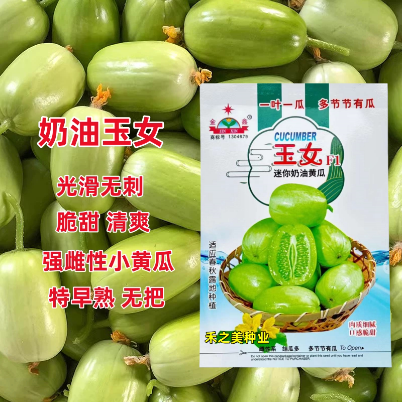 奶油玉女黄瓜种子特早熟水果黄瓜种籽阳台盆栽春秋冬季耐寒蔬菜种