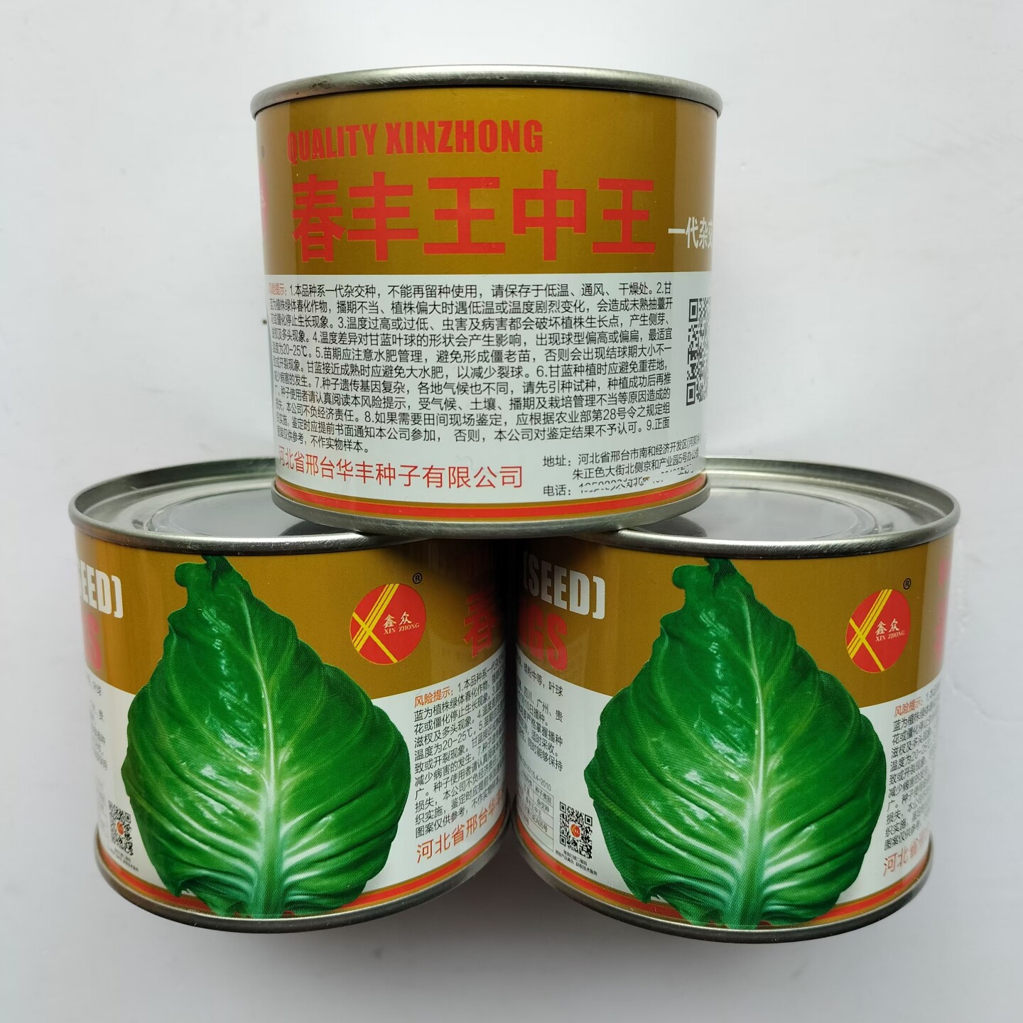 春丰王中王 牛心甘蓝包菜种子 耐寒早熟结球四季播农家卷心菜种子