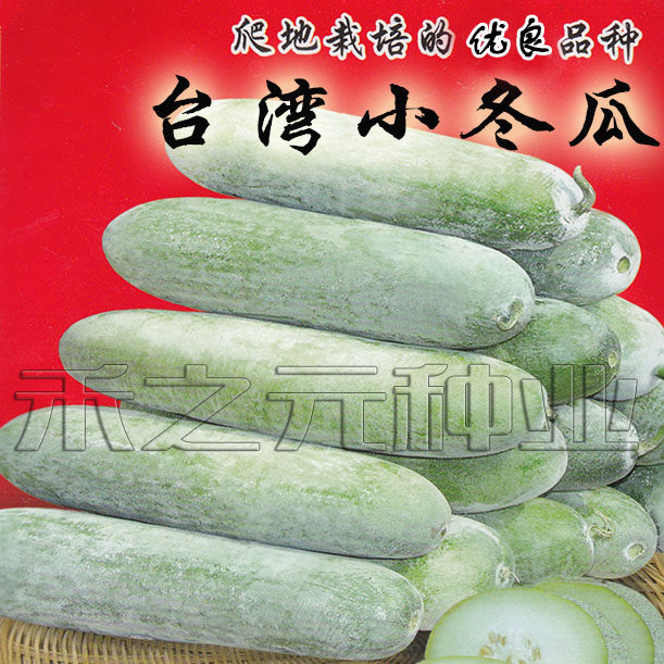 春秋台湾小冬瓜种子粉皮蔬菜迷你冬瓜种籽水果冬瓜种籽四季盆栽春