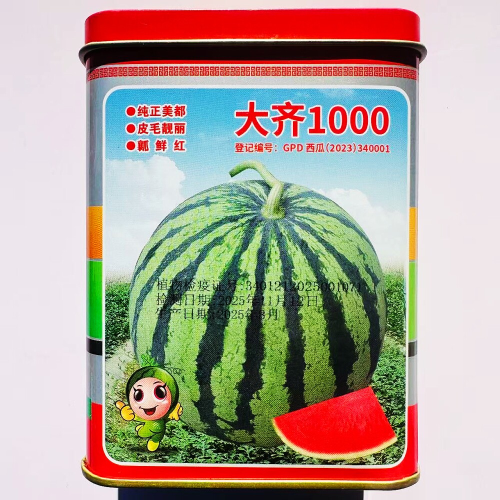 大齐1000美都西瓜种子早中熟酥脆爽口红瓤薄皮西瓜种籽农家春季播
