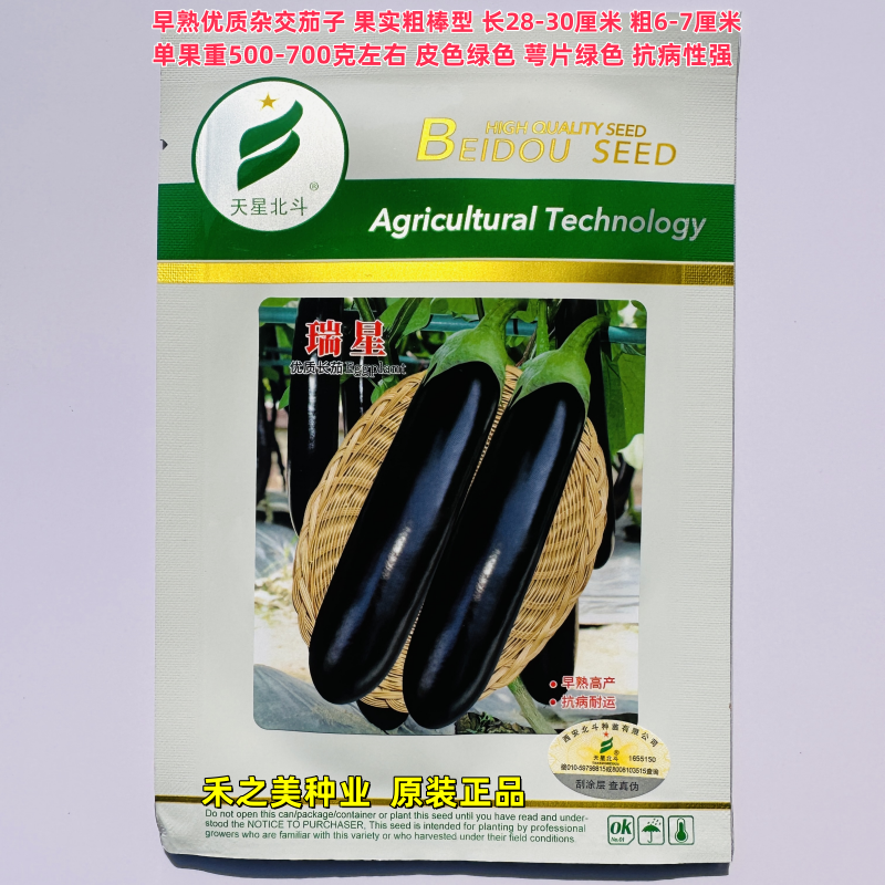天星北斗瑞星黑长茄种子绿萼皮色黑亮极早熟抗病耐低温杂交种籽孑