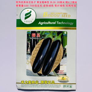 天星北斗瑞星黑长茄种子绿萼皮色黑亮极早熟抗病耐低温杂交种籽孑
