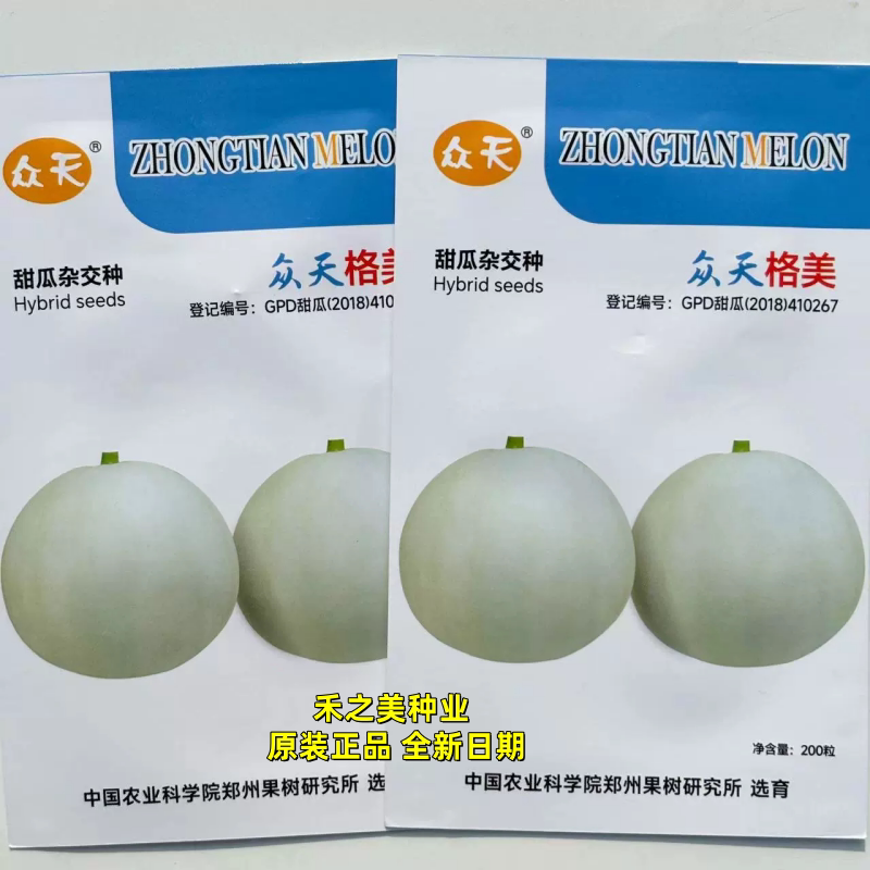 众天格美甜瓜种子早中熟薄皮白皮香瓜肉白甜瓜种籽好吃水果种子