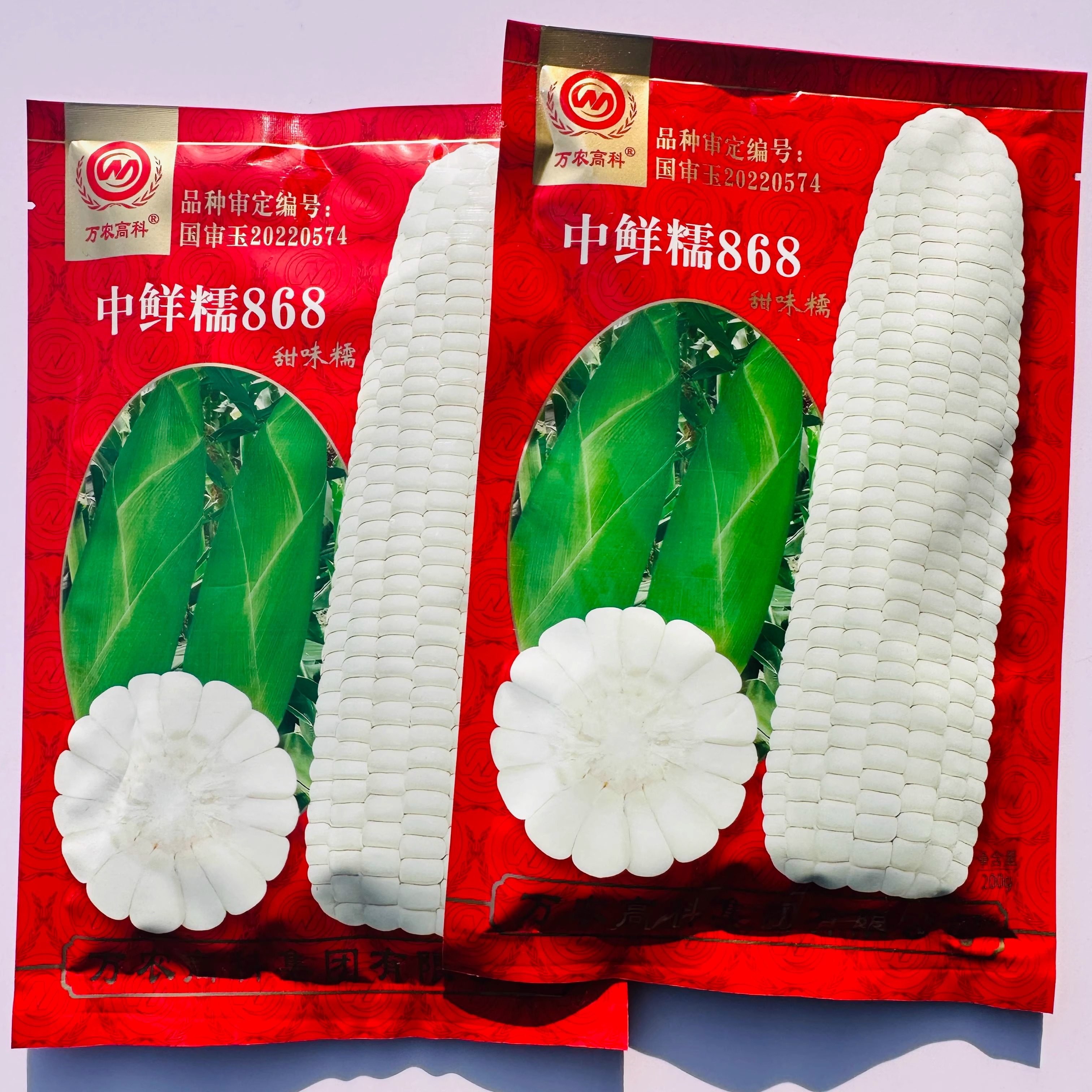 中鲜糯868玉米种子春秋高产国审大棒甜味糯口感好鲜食白糯玉米籽