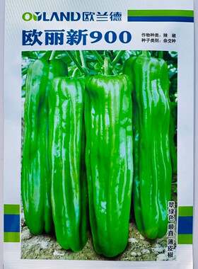 欧兰德 欧丽新900翠绿色大果长灯笼形辣椒种子早中熟皮薄果软微辣