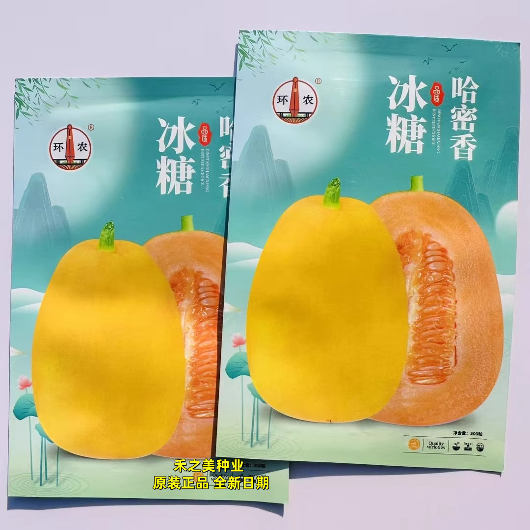 冰糖哈蜜香甜瓜种子早熟金黄皮甜瓜种籽香甜可口春秋两季农家大田