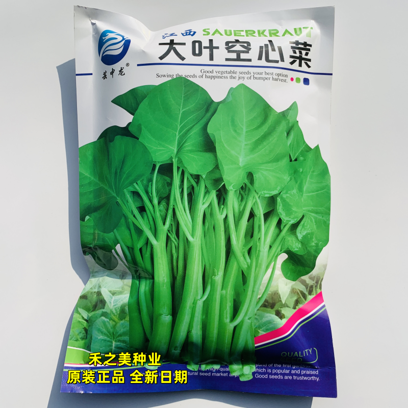 大叶空心菜种籽双机泰国空心菜种子春夏秋季水培旱地可播蔬菜种孑