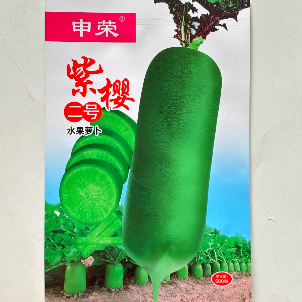 脆甜多汁三系杂交种籽秋季中晚熟大田高产紫樱二号水果萝卜种子