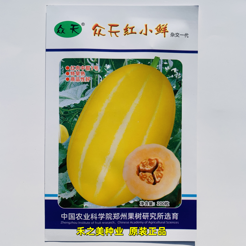 众天红小鲜 特早熟厚皮甜瓜种子籽红肉中甜1号黄金道黄皮香瓜种子