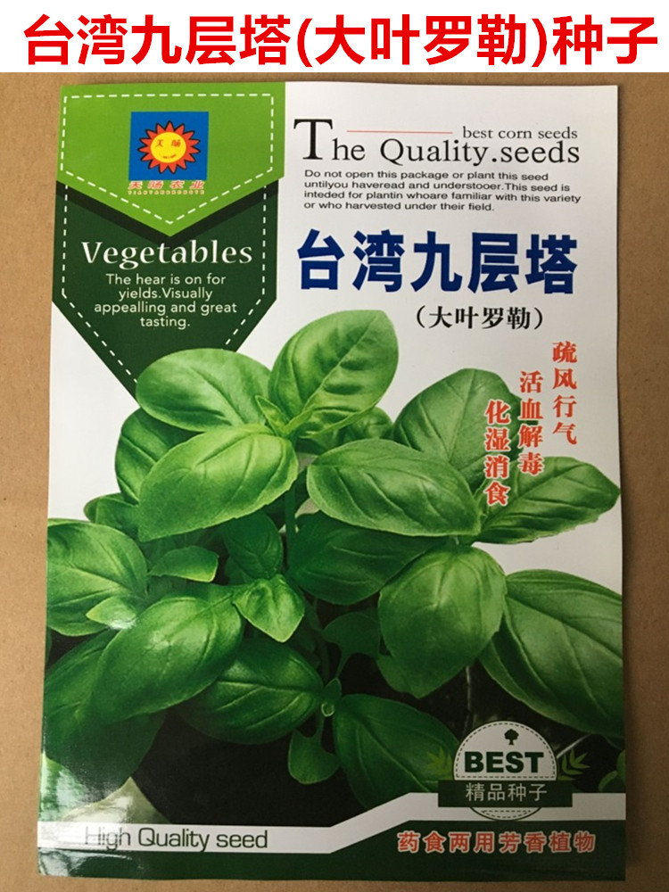 春秋九层塔种子特菜鱼香菜大叶罗勒盆栽食用金不换种子调料蔬菜种