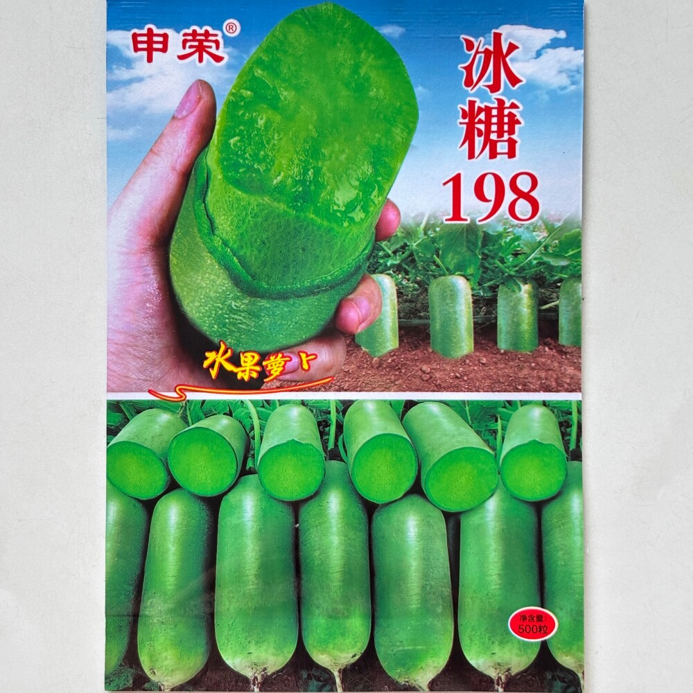 冰糖198青岛三系杂交脆甜水果萝卜种子秋季高产板叶大田基地种籽