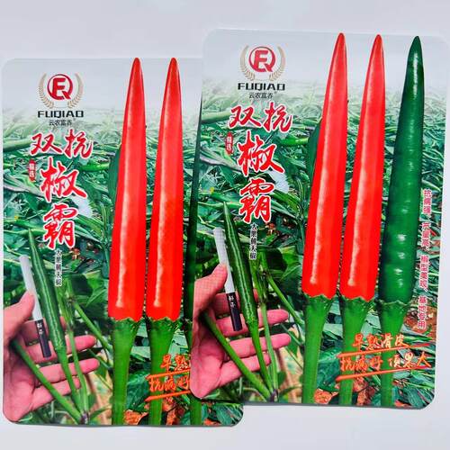 新品种双抗椒霸朝天椒种子大号辣椒种子硬度好抗病高产早熟滑皮椒