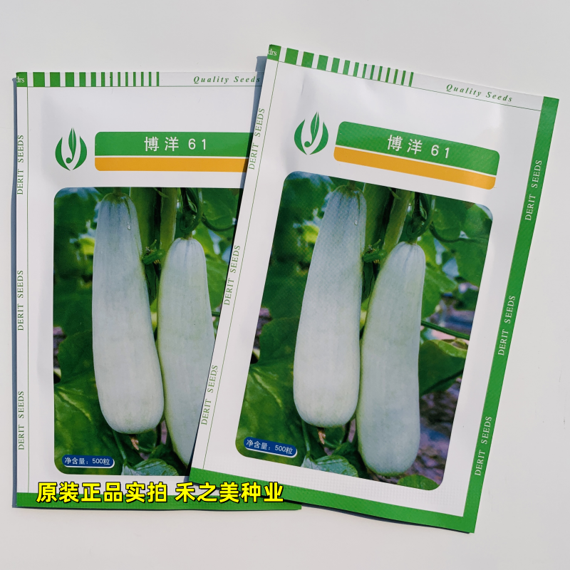 正品天津德瑞特博洋61甜瓜种子春播高端羊角脆羊角蜜种籽薄皮甜脆