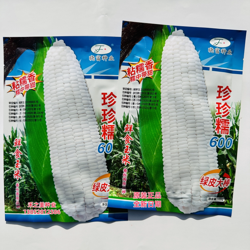 晓富珍珍糯600鲜食白甜糯玉米种子田园基地高产绿皮大棒粘糯香甜