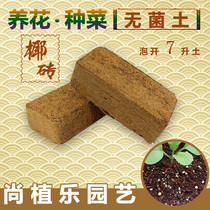 有机无菌 纯净椰砖]椰粉椰糠椰壳砖种菜种花种植泥炭营养土650克