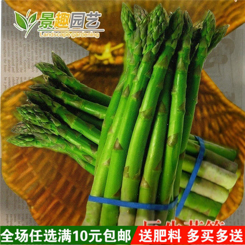 巨生芦笋种子清热解毒阳台四季播种芽苗菜庭院盆栽水果蔬菜种子