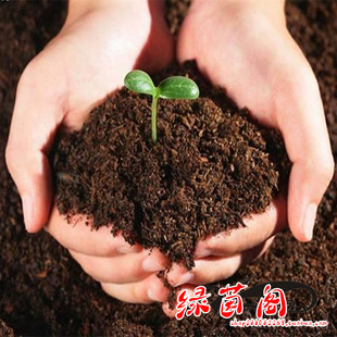 营养土  种菜土泥炭土 松软透气 腐殖质土 有机栽花土壤土肥料