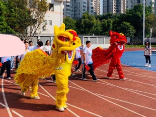 舞狮成人双人舞龙舞狮道具南狮醒狮舞狮子服装狮子头表演整套出租