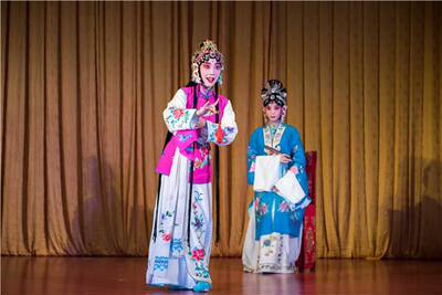 京剧丫鬟花旦戏服