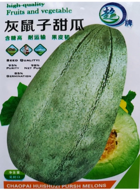 灰鼠子甜瓜种子老品种甜瓜果皮灰色肉绿色春秋蔬果种子