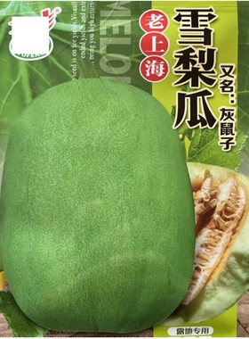 含糖高甜瓜种子香瓜种植
