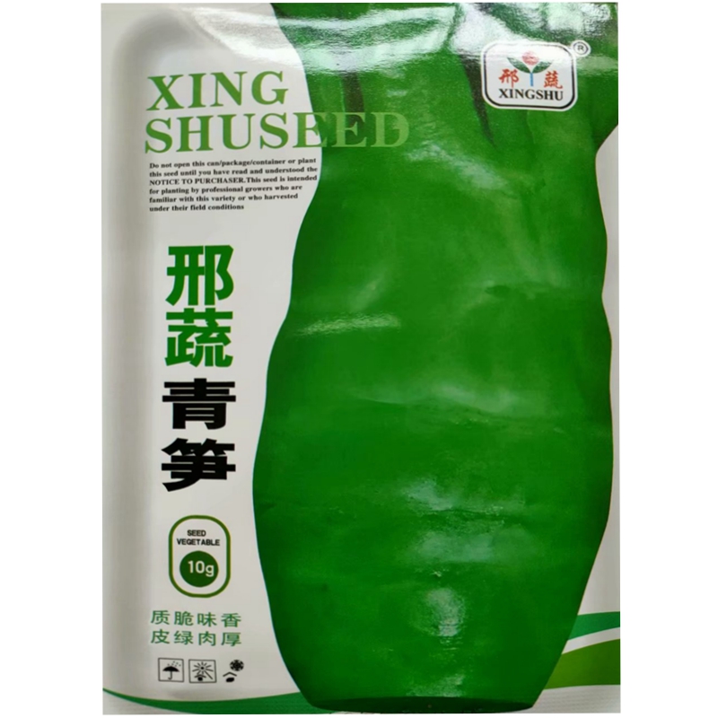 邢蔬青笋莴笋种子莴苣耐低温圆叶青皮青肉不易受冻单株可达3斤