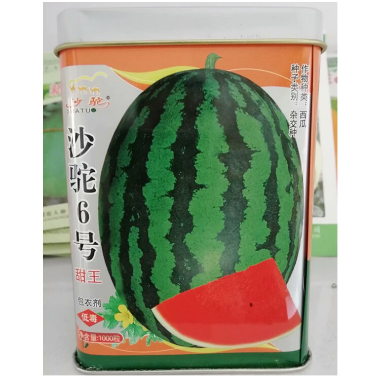 沙驼6号甜王西瓜种子蔬果种子耐裂易座果皮薄30天成熟大田露地种