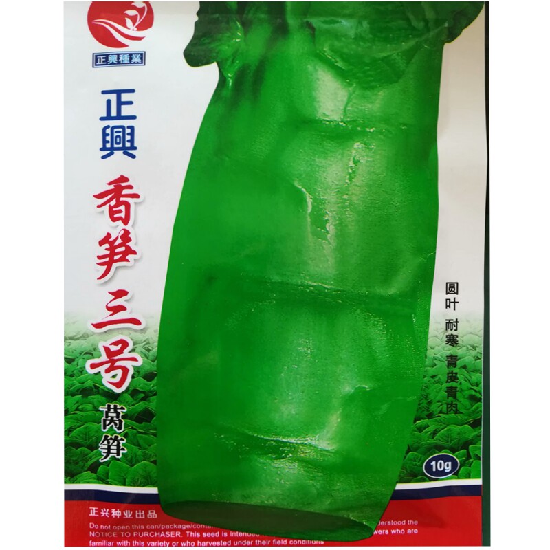 香笋三号莴苣种子长圆青皮秋冬季