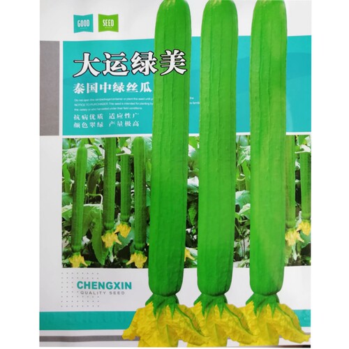 泰国中绿高产露天丝瓜种子