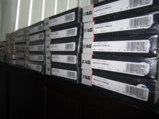 1007 1018 1006 1016 1019 1015 德国FAG进口轴承N1008K.M1.SP