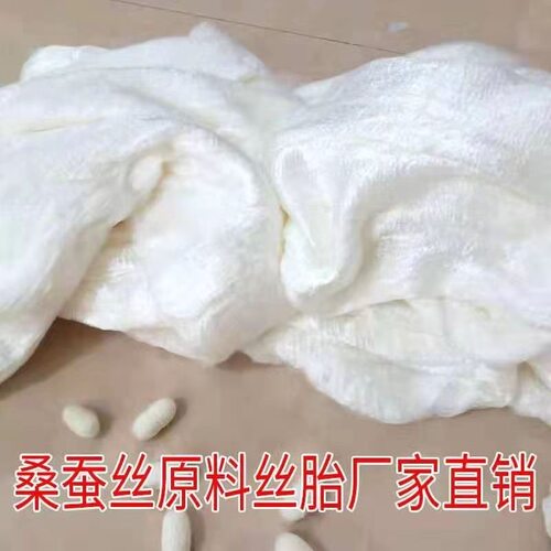 渡洋100%双宫桑蚕丝裸丝胎春秋被