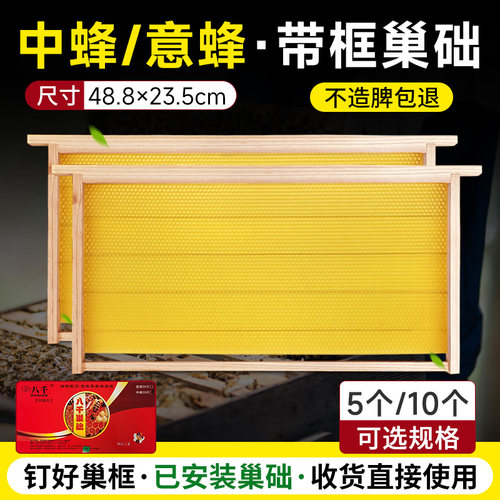 杉木中蜂成品巢框意蜂带框巢础