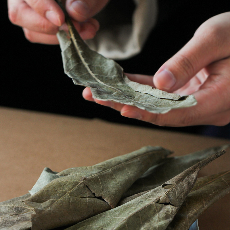 许氏醇品深山枇杷叶无污染