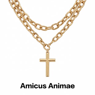 Amicus 金属粗链条轻奢锁骨链 Animae叠戴十字架吊坠金色项链男款