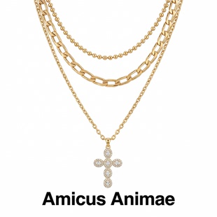 Amicus Animae欧美时尚合金镶钻十字架吊坠项链女轻奢百搭锁骨链