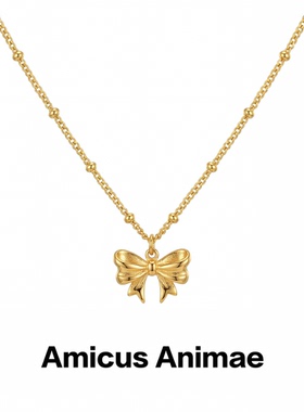 Amicus Animae欧美时尚高级百搭蝴蝶吊坠项链女款轻奢紧致锁骨链