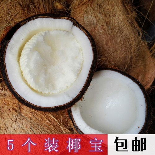 海南水果椰宝5个装包邮