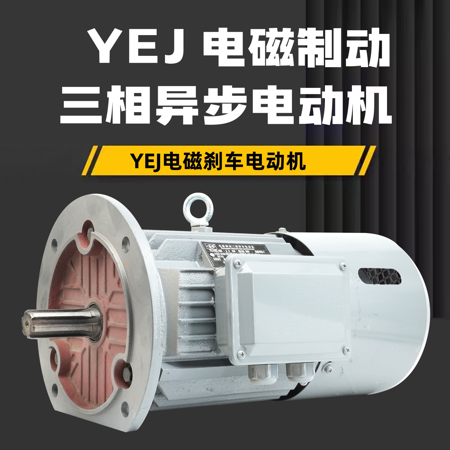 电磁制动YEJ100L1-4B52.2KW