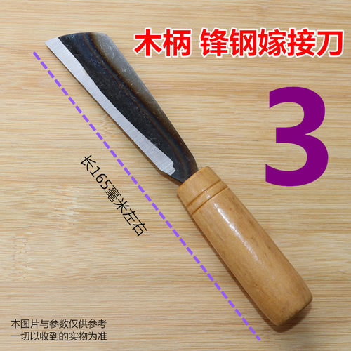 绿植园林锋钢不锈钢泥鳅黄鳝宰杀