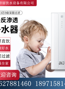 Enid100G纯水机家用商用智能净化器纯水机RO反渗透大流量净水机
