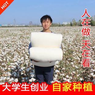 新疆棉花被棉絮床垫纯棉加厚保暖棉花褥子棉被芯手工被子学生冬被
