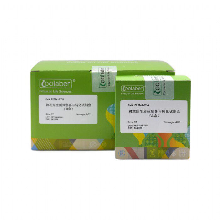 Coolaber/酷来搏 PPT241-5T 棉花原生质体制备与转化试剂盒
