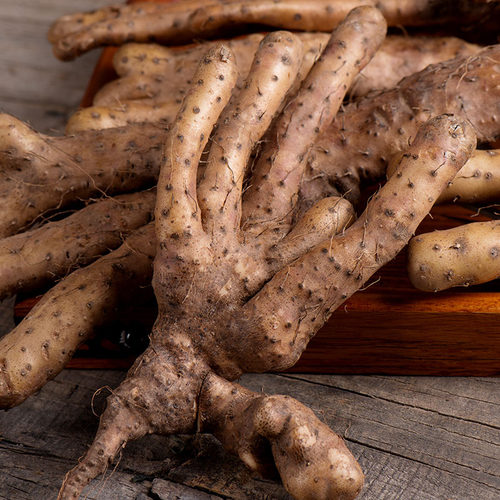 分叉难看口感好怀淮垆土铁棍山药