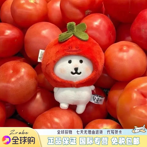 日本番茄自嘲熊果头饰可爱创意自嘲熊娃娃装饰服装毛绒玩具