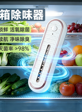 冰箱除味净化器 臭氧除味器汽车空气除异味 车载卫生间杀菌可充电